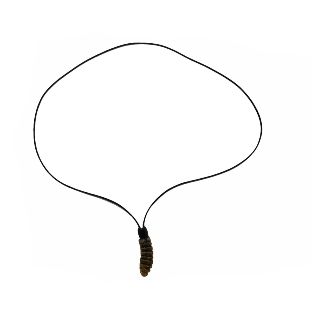 Vintage Rattlesnake Rattle 9 Section Snake Tail Pendant Necklace Charm